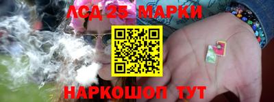 гидра Кандалакша