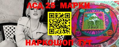 гидра Кандалакша