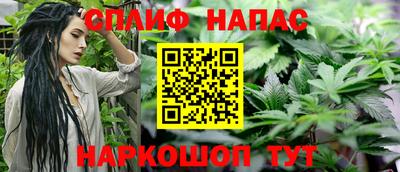 гидра Кандалакша