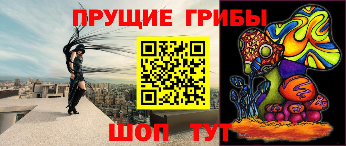 Буйнакск  Галлюциногенные грибы GOLDEN TEACHER  Вход с VPN 